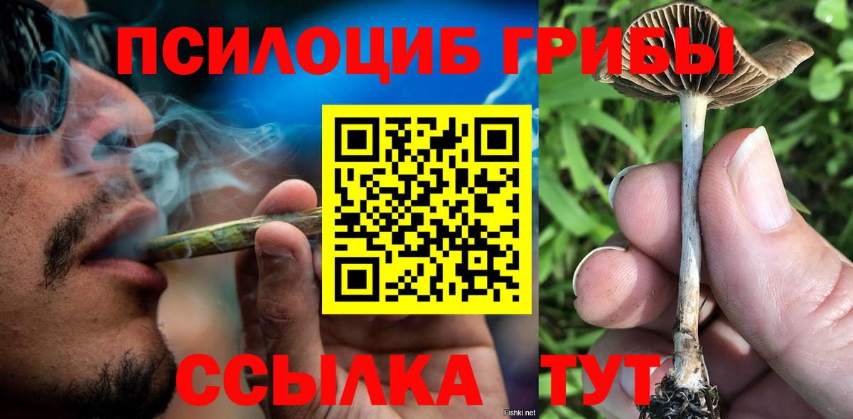 Галлюциногенные грибы прущие грибы  Вход с VPN  Галлюциногенные грибы прущие грибы  Калач-на-Дону 