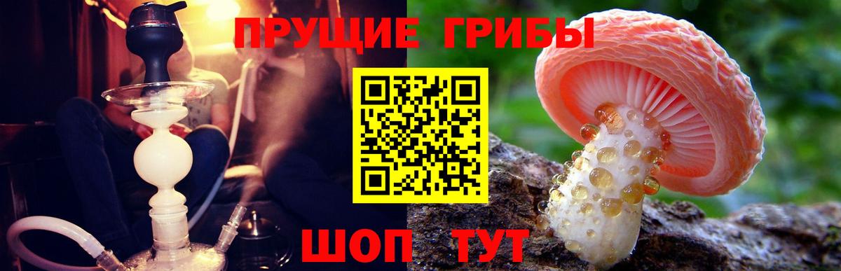 Псилоцибиновые грибы ЛСД Калач-на-Дону